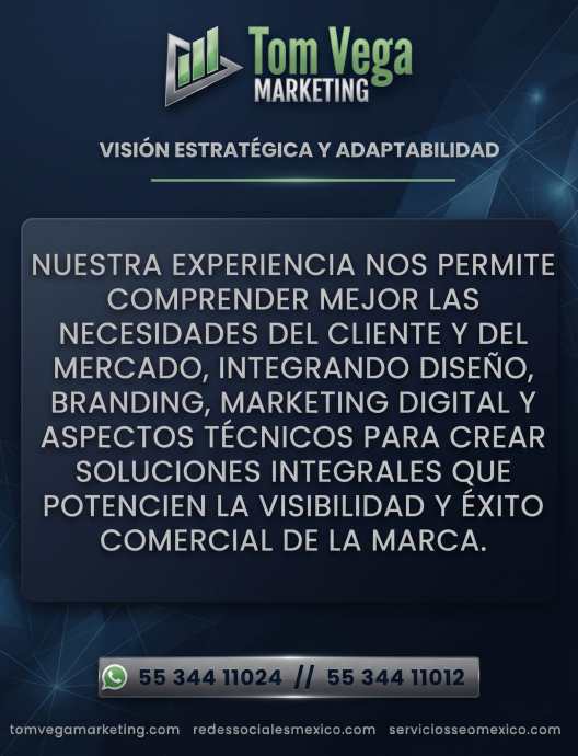 diseño de página web para profesionistas en México
